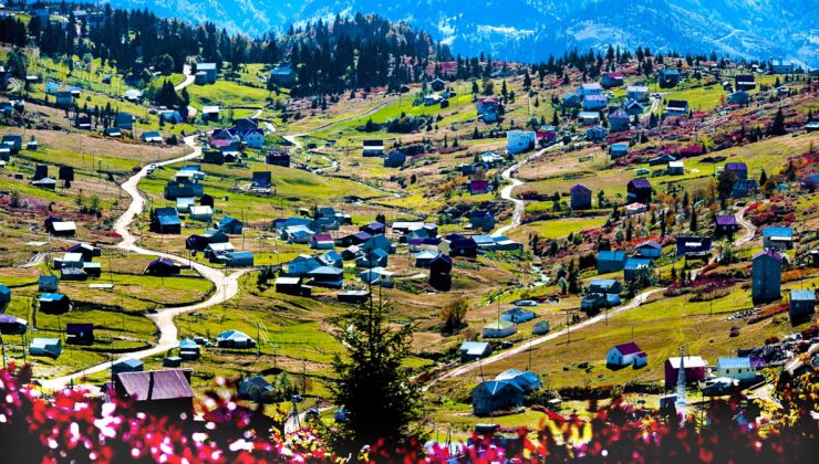 Doğu Karadeniz kırsalı yaşlandı: Kültür aktarımı risk altında