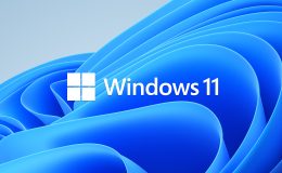 Windows 11 Home Lisansı