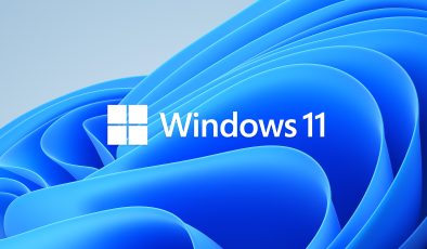 Windows 11 Home Lisansı