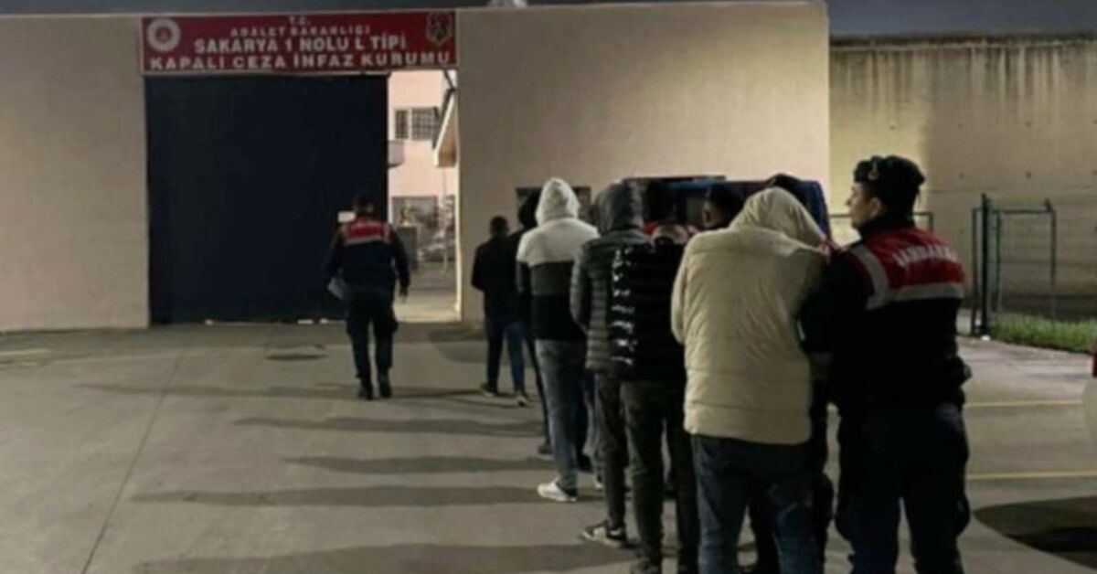 Sakarya’da büyükbaş hayvan hırsızlığı: 7 tutuklama