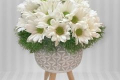 Mersin çiçek sipariş