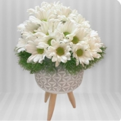 Mersin çiçek sipariş